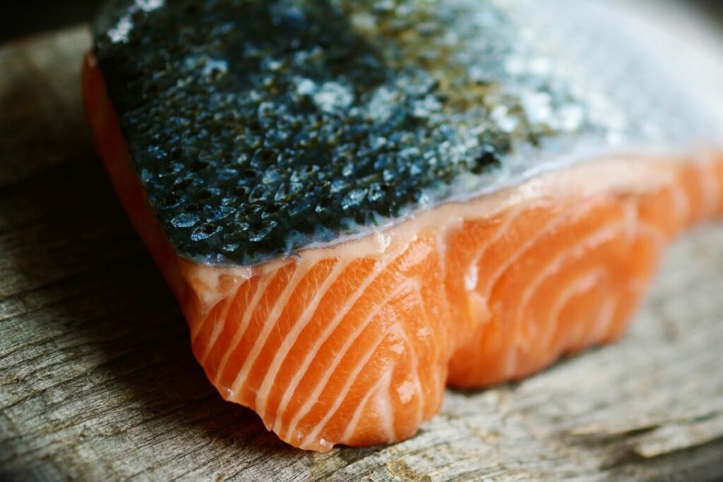 protein muskelaufbau