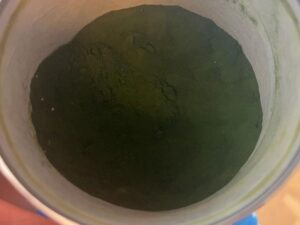 was ist chlorella